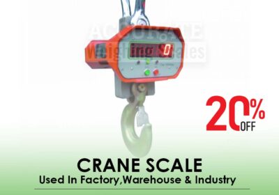 CRANE-SCALE-23-1