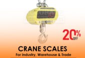 Raised hanging crane weighing scale at affordable