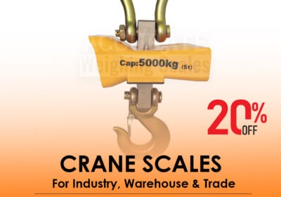 CRANE-SCALES-22-1