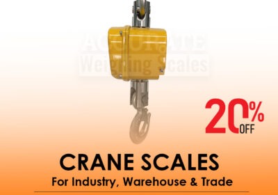 CRANE-SCALES-24-1