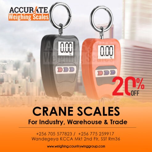 heavy duty digital crane weighing scale with calibration