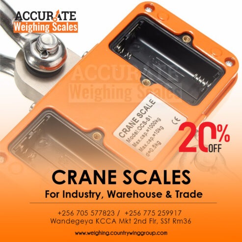 digital crane weighing scale with wireless remote-control