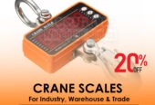 crane weighing scales with palm indicator affordable price