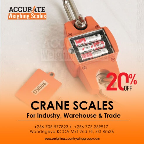 purchase heavy duty crane weighing scale with overload war