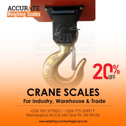 zinc coated heavy duty hook digital crane weighing scale