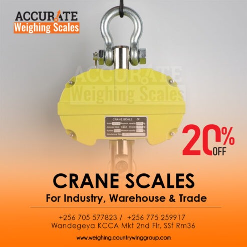 Crane weighing scale with durable one-hour batteries reserve