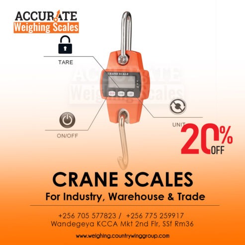 crane weighing scale with high temperature protecting plate