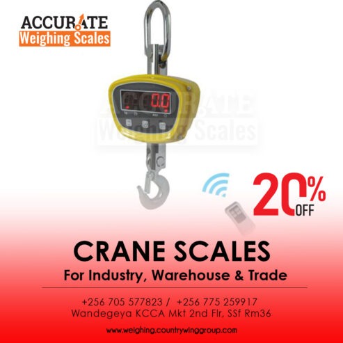 Heavy duty crane weighing scales with stainless steel hook