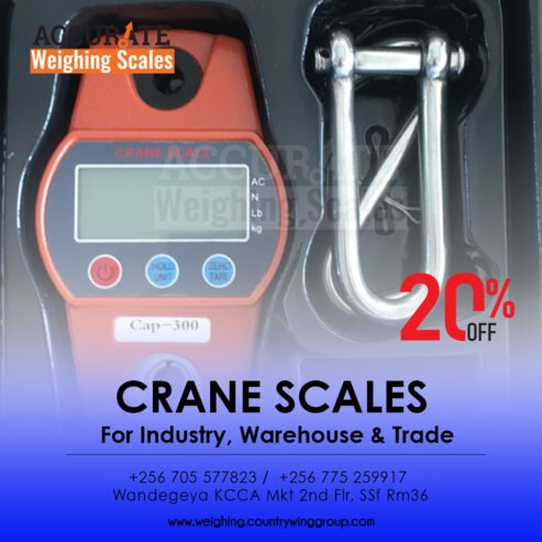 Digital Crane weighing scales with rechargeable 6v1.2Ah