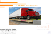 Cardinal weighbridge kind from a certified company