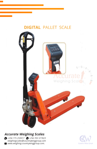 Heavy duty Pallet weighing scales with Peak hold function