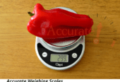 10kg Smart Food Digital Cooking Scale online