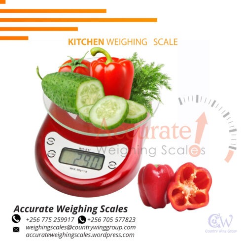 High Accurate Digital Kitchen Scale with Pastry Mat Measures