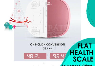 FLAT-HEALTH-SCALE-17-1