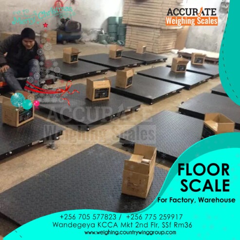 accessible general purpose industrial floor scale