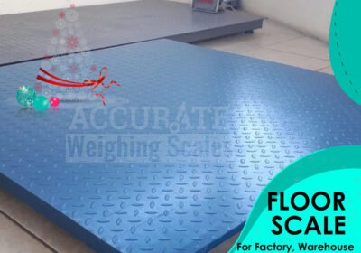 FLOOR-SCALES-4