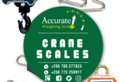 digital crane weighing scale with optional hanging pan