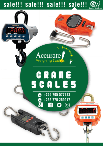 digital crane weighing scale with optional hanging pan