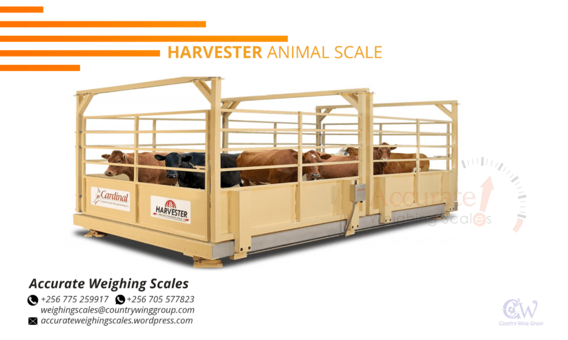 Cattle livestock Weighing scales capacity 1500 kg