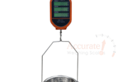 Light duty crane weighing scale for retail business