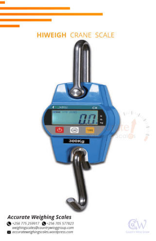 looking for digital crane weighing scale for commercial use