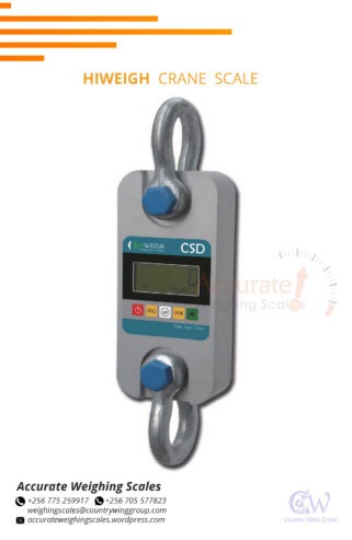 digital crane hanging weighing scales with a 300kg capacity