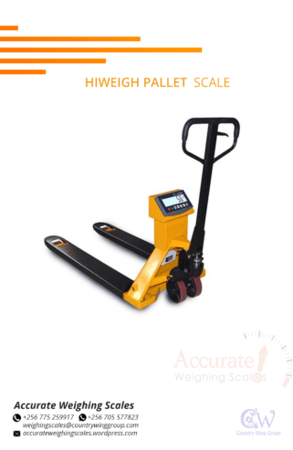 Affordable Hi Weigh pallet weighing scales prices in Arua