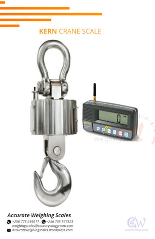 Digital Crane weighing scale power adaptors in supplier