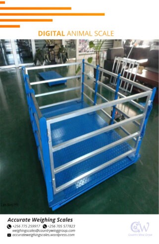 Galvanized mild steel plate animal weighing scale with 251