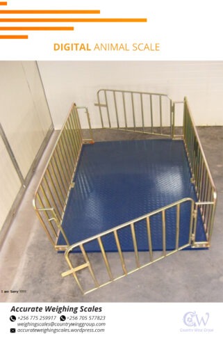 Pallet Scale Floor Cattle Livestock Weighing Scales