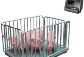 veterinary livestock scale supplied with a power supply u