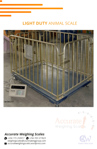 Purchase Platform stands for animal weighing scales