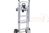 kind of pallet jack tuck weighing scale