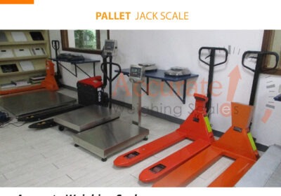 Pallet-scale-16-jpg