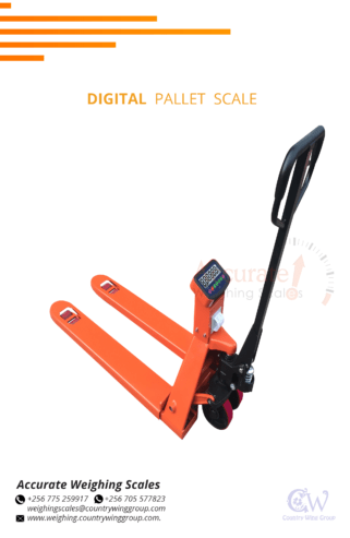 Pallet weighing scales with back light for easy readings