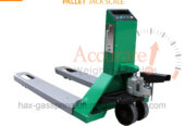 Industrial Pallet weighing scales double ramps at low cost