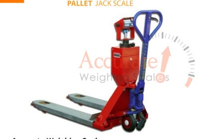 Pallet-scale-5-jpg-2