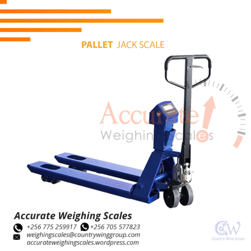 Pallet industrial weighing scale with remote control display