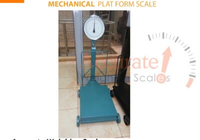 Platform-scale-1-jpg-1