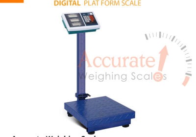 Platform-scale-31-jpg