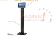 Supplier of light duty weighing scales with wide display