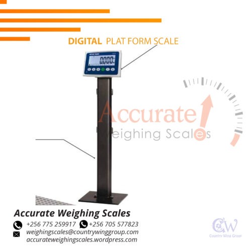 Supplier of light duty weighing scales with wide display