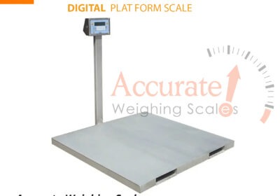 Platform-scale-53-jpg