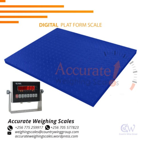 Stainless-steel heavy -duty platform scale with time/hold