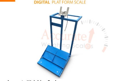 Platform-scale-82-jpg