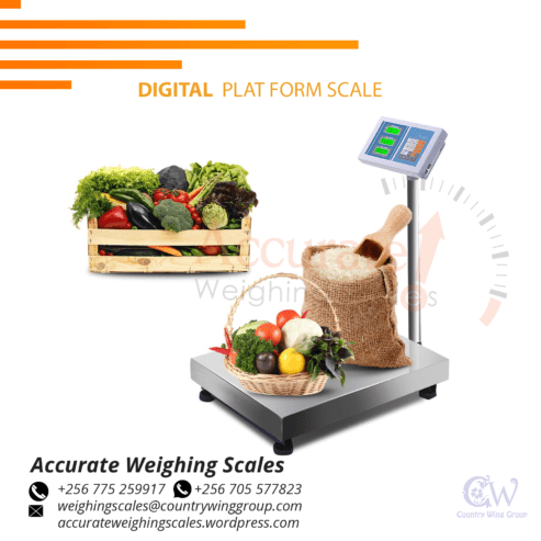 Commercial platform weighing scale with a raised indicator