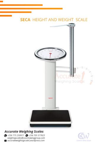 Efficient height and weight scale on market