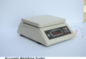 IP68 bench scale 15 kg x 5g with stainless steel housing