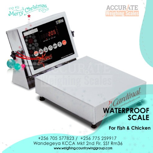 highly water-proof table top scale for large pieces