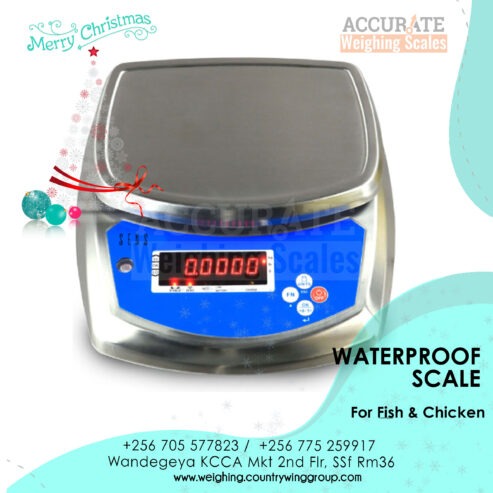 Low cost waterproof weighing scale rated to IP66.